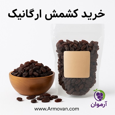 تصویر مرتبط با خرید کشمش ارگانیک با قیمت مناسب در موضوع کشمش - محتوا ششم عکس دوم