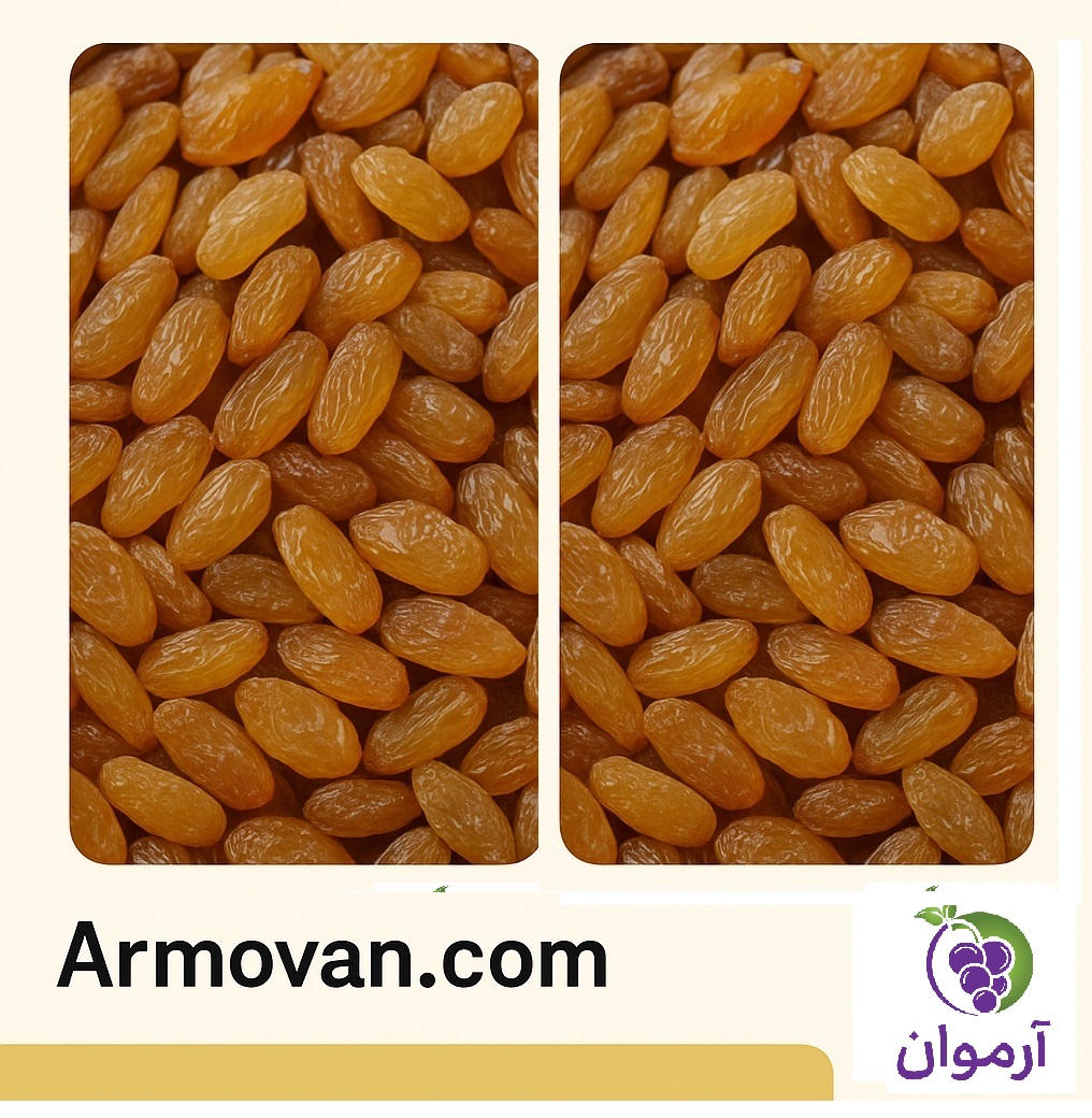 تصویر مرتبط با خرید و قیمت کشمش تیزابی عمده با بهترین کیفیت در موضوع کشمش - محتوا هفتم 2