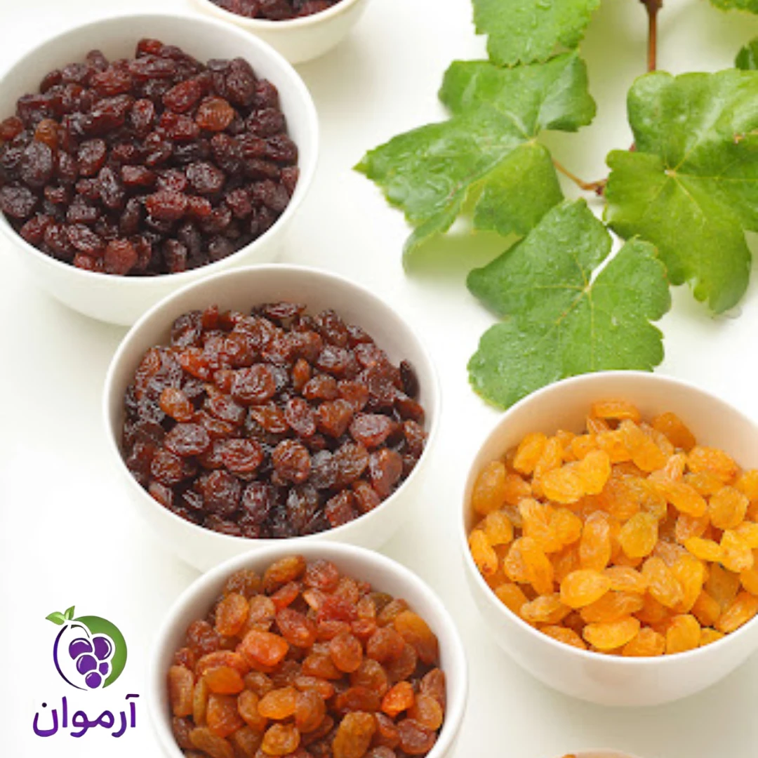 بهترین فصل و زمان خرید عمده کشمش در ملکان