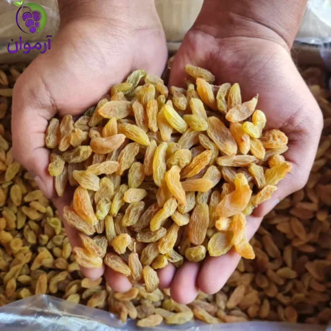 معرفی انواع کشمش تیزابی