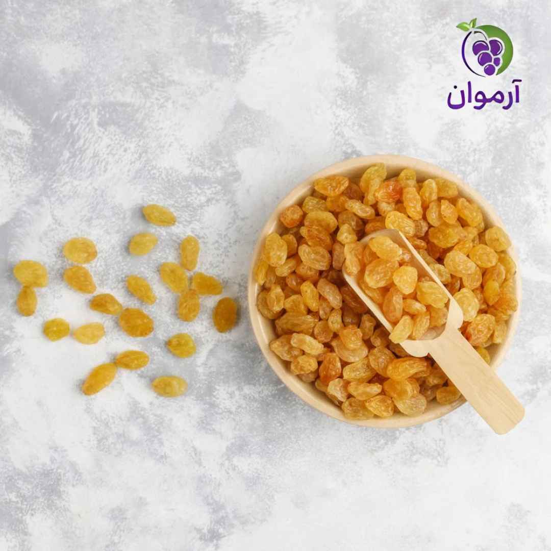 نکات کلیدی در خرید عمده کشمش تیزابی با کیفیت و مقرون‌ به‌ صرفه