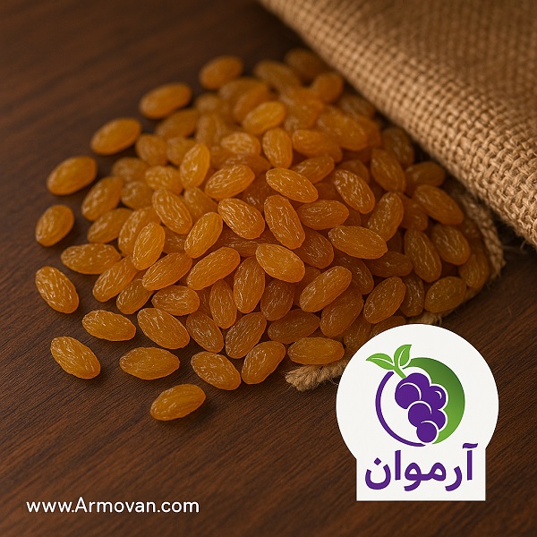 تصویر مرتبط با خرید و قیمت کشمش تیزابی عمده با بهترین کیفیت در موضوع کشمش - خرید کشمش پلویی تیزابی فروش عمده 4